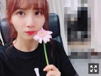 ピンクのガーベラ  119. - 画像4