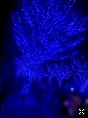 さてさてーーー - 画像2