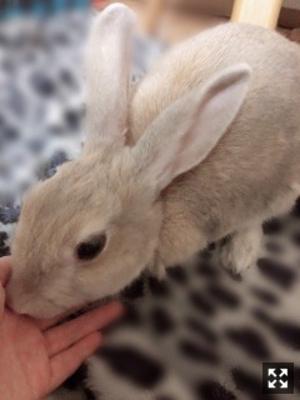 2018年。沢山の喜びに･･んぱーーーーい！！！！･･てことで写真大放出しち･･うね☆ - 画像5