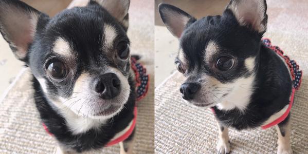 はじまり。柴田柚菜 - 画像2