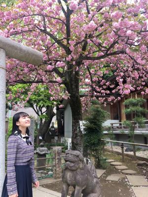 レディースの希望、遠いごぼう列車 - 画像2