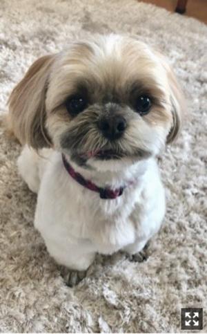 お待たせしましたですよーう。 - 画像2