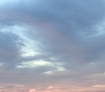 みみずくとふくろう、レタスとキャベツ。 北川悠理 - 画像3