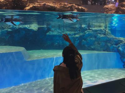 晴れた！ 柴田柚菜 - 画像2