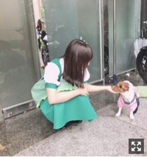 おしらせです⊂((・⊥・))⊃ - 画像7