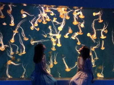 シュワァーーーーー金川紗耶 - 画像5