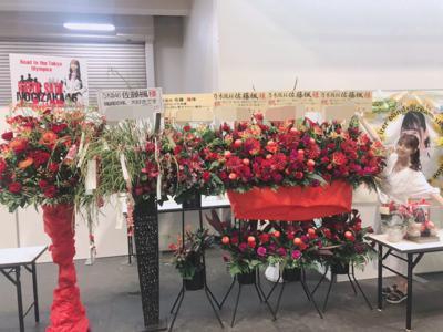 ミュウツー観なきゃ！！ 159. - 画像4