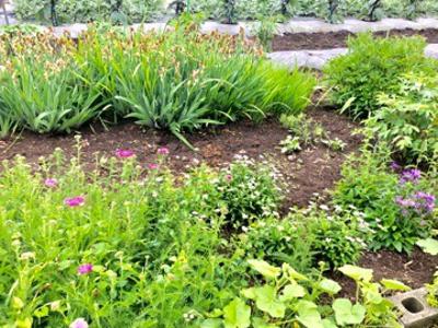 今日、18歳になりました。 - 画像3