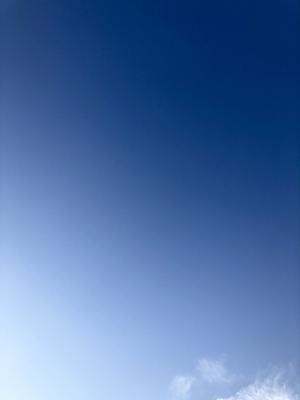 題名、タイトル  北川悠理 - 画像4