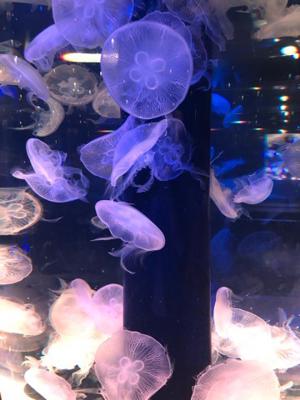 答え合わせ - 画像2