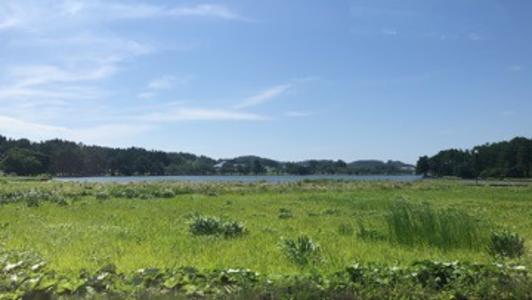 答え合わせ - 画像3