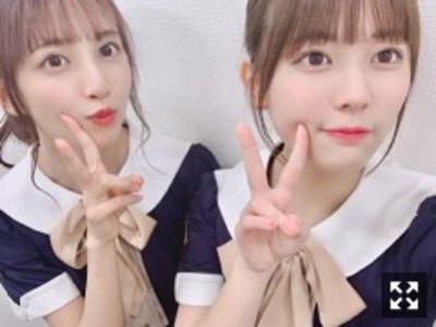 なんの蝉が好きですか？私はクマゼミ。 - 画像2