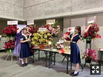 なんの蝉が好きですか？私はクマゼミ。 - 画像3