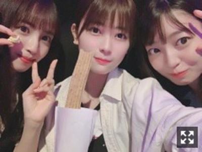 なんの蝉が好きですか？私はクマゼミ。 - 画像4