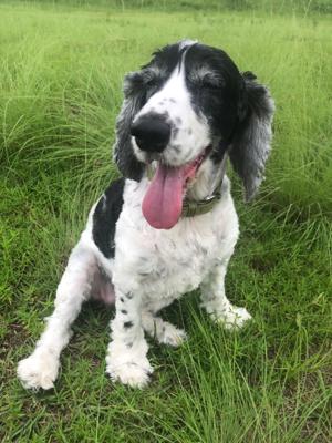 名古屋帰ってきたよ～   筒井あやめ - 画像3