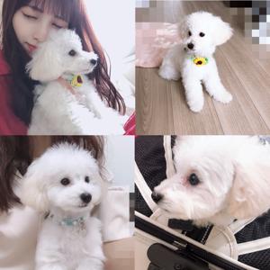 天気の子4D観に行きたい 171. - 画像5