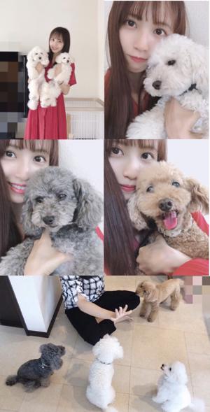 キノピオしか！ 172. - 画像4