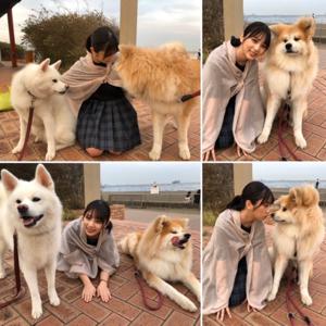 2019年終わりそうなので目標達成できたか過去のブログを見返したら落ち込みました(´･_･`)  - 画像5
