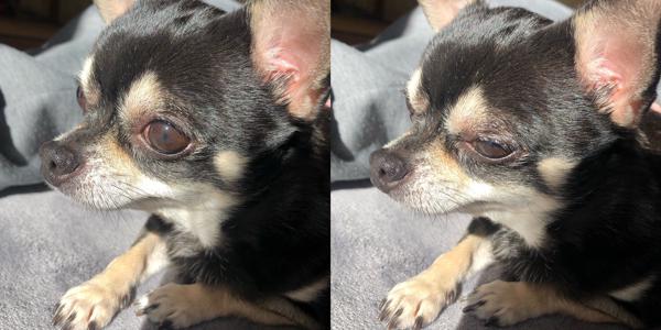 良いお年を☺︎ 柴田柚菜 - 画像3