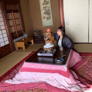 2020 - 画像2