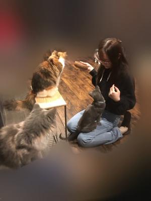 猫になりたい　　田村真佑 - 画像2