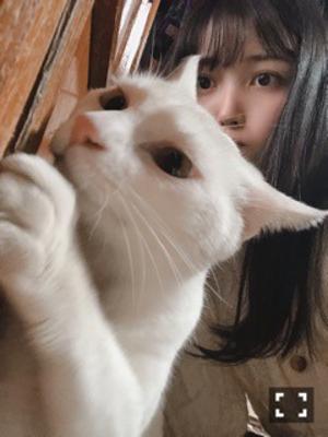 正解のない選択 - 画像3