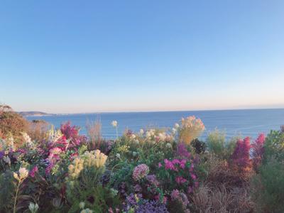 サムは変わり者ですね、遠藤さくら - 画像4