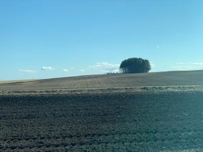 感謝(⑉• •⑉)金川紗耶 - 画像2