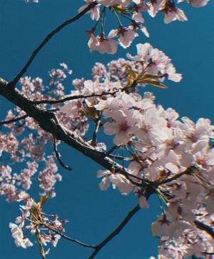 涙の種類 - 画像5