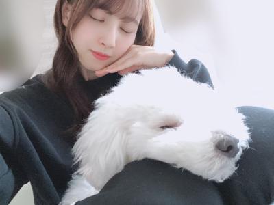 お寿司大好き！　203. - 画像5