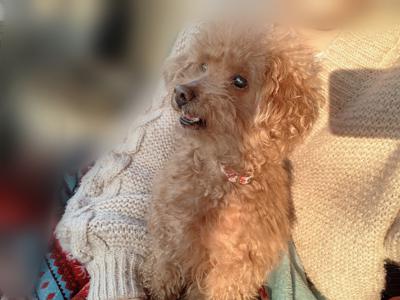 ついに！！！ - 画像2