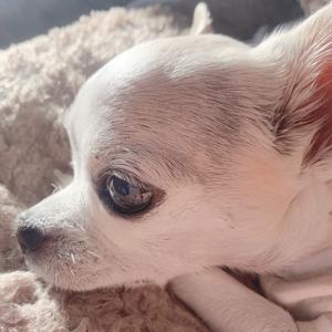 やっぱりシンプルに、初めまして。松尾美佑です。 - 画像2