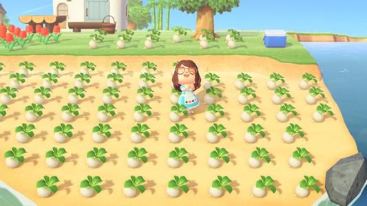 夢に見たカブ　205. - 画像3