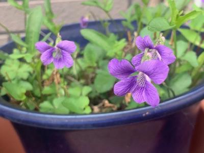 一瞬の真夏の匂い。パン、作ったよ。佐藤璃果 - 画像5