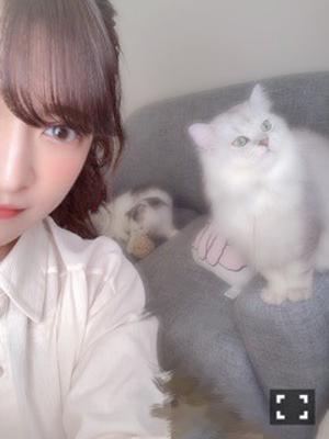 沈んだその先に広がる世界 - 画像4