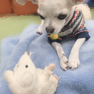 雨も晴れ 松尾美佑 - 画像2