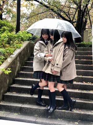 あじさい - 画像2