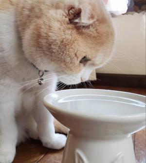 空がどこまでも青くて幸せです。松尾美佑 - 画像3