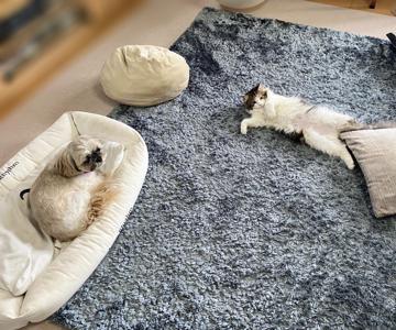 レンズ越しの風景 - 画像4