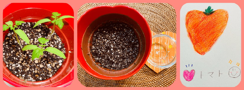  ご注文はお決まりですか？☺︎ 黒見明香 - 画像4