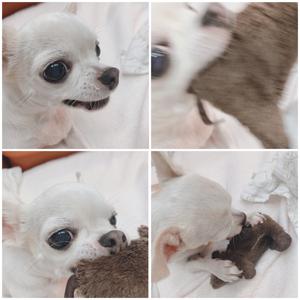 蝉の声が聴こえました 松尾美佑 - 画像2