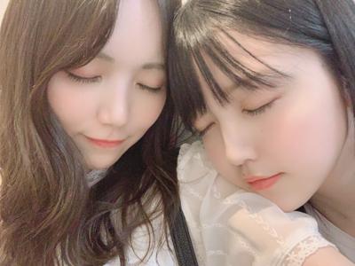 蝉の鳴き声 - 画像2