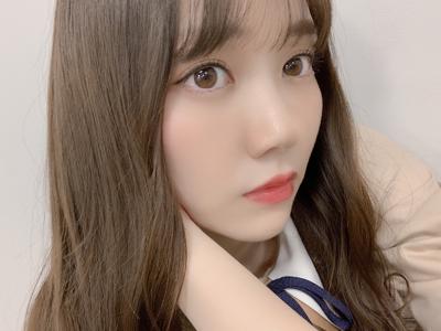 蝉の鳴き声 - 画像3