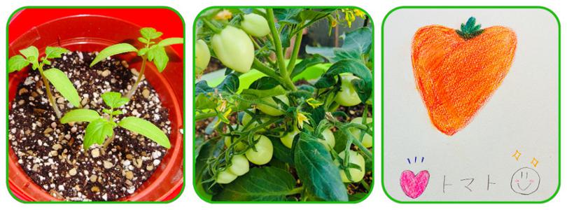 乃木坂学園入学しました！ 黒見明香 ☺︎ - 画像4