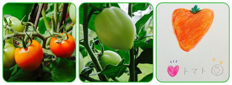 食欲の秋？それとも 乃木坂の秋？ ☺︎ 黒見明香(16)  - 画像4