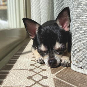 ちょっとだけ！ - 画像2