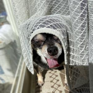 ちょっとだけ！ - 画像3