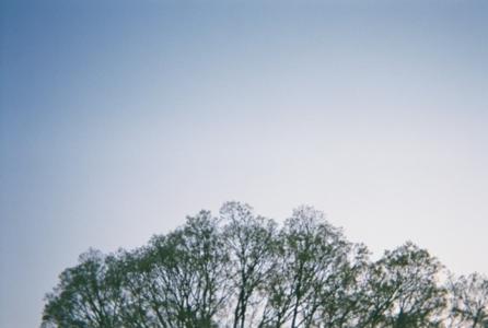 16人で   - 画像3