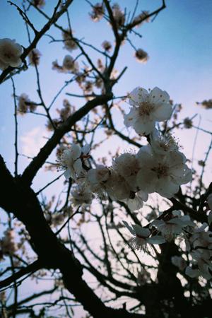 冷たい冬の先に - 画像5