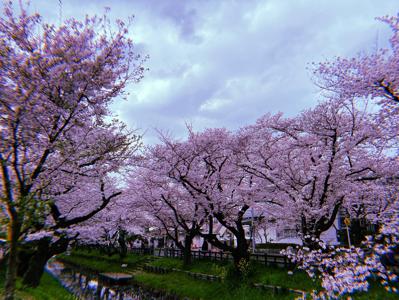 明日じゃなくて今を見よう - 画像4